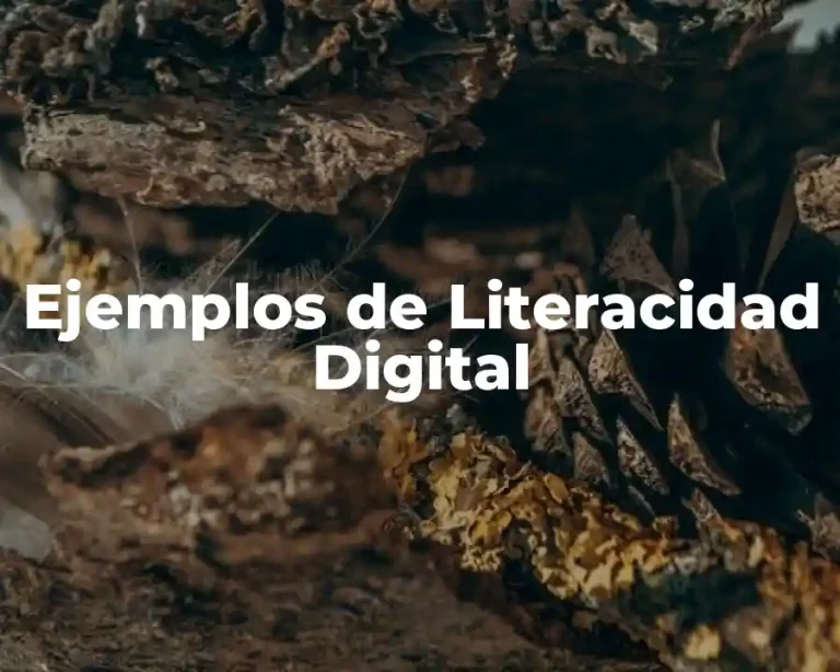 Ejemplos de Literacidad Digital