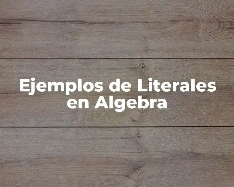 Ejemplos de Literales en Algebra