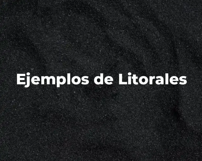 Ejemplos de Litorales
