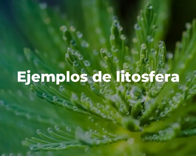Ejemplos de litosfera