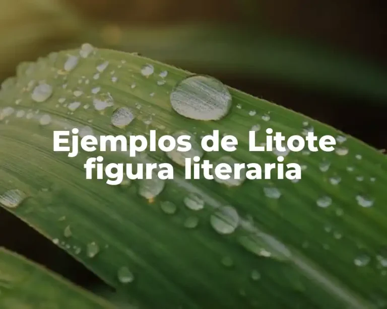 Ejemplos de Litote figura literaria