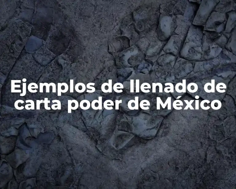 Ejemplos de llenado de carta poder de México