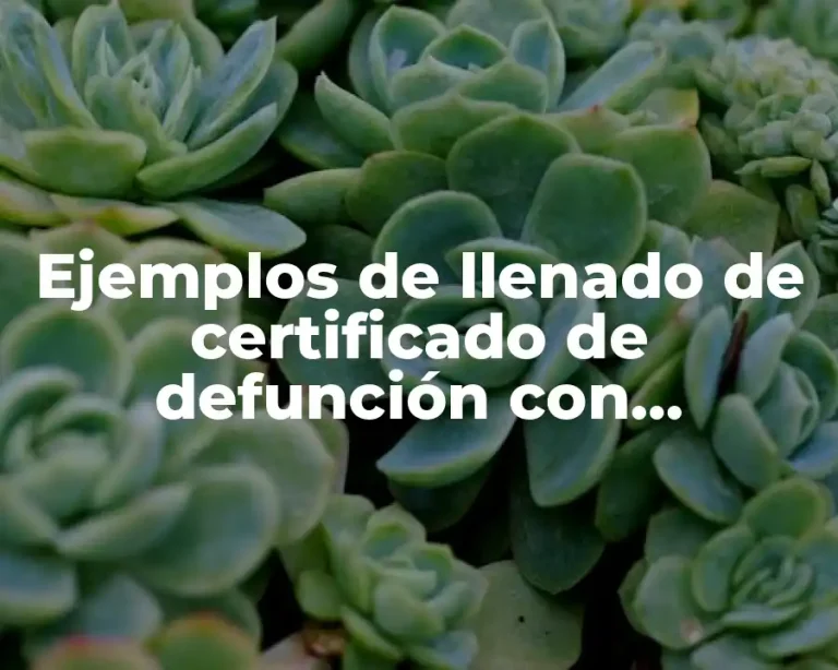 Ejemplos de llenado de certificado de defunción con cardiopatías