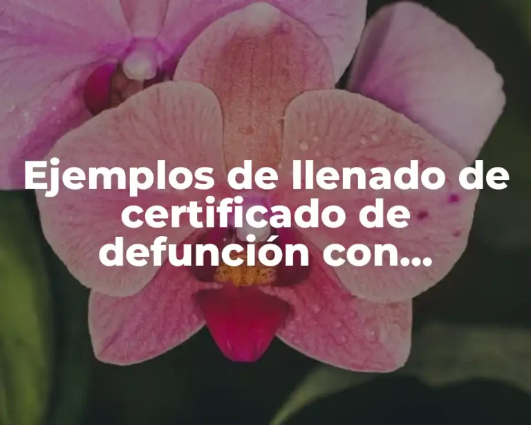 Ejemplos de llenado de certificado de defunción con miocardiopatías y Significado