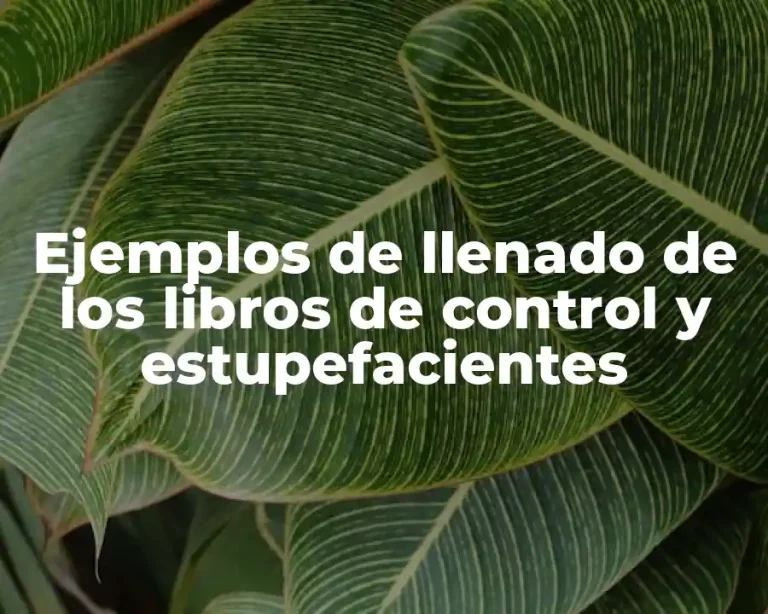 Ejemplos de llenado de los libros de control y estupefacientes