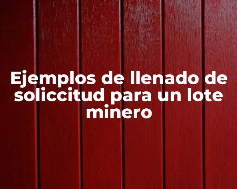 Ejemplos de llenado de soliccitud para un lote minero