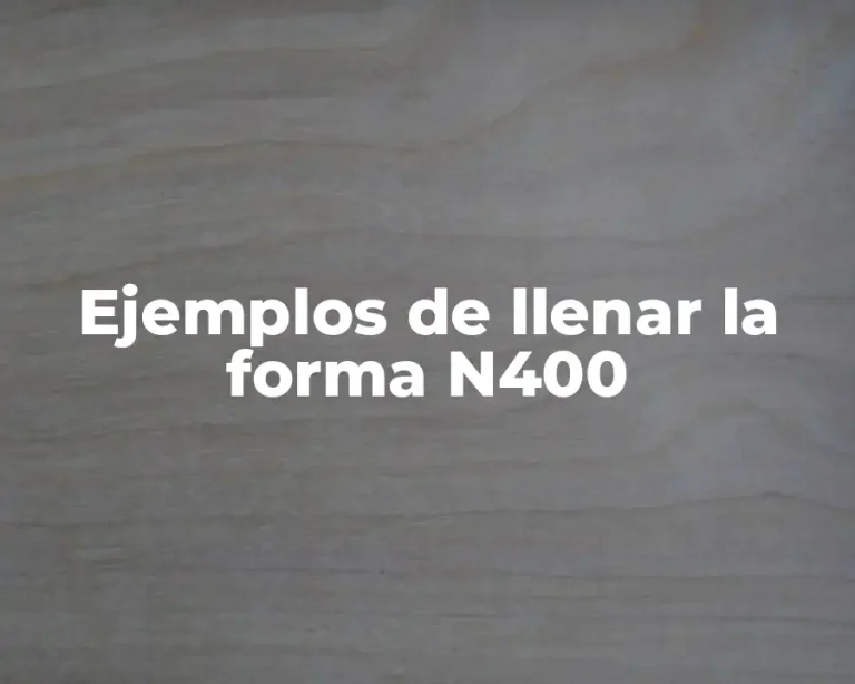 Ejemplos de llenar la forma N400