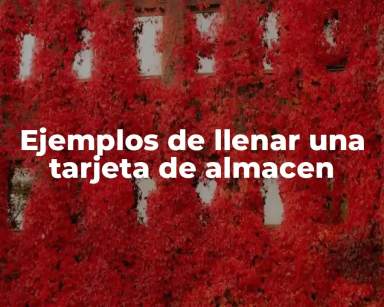 Ejemplos de llenar una tarjeta de almacen