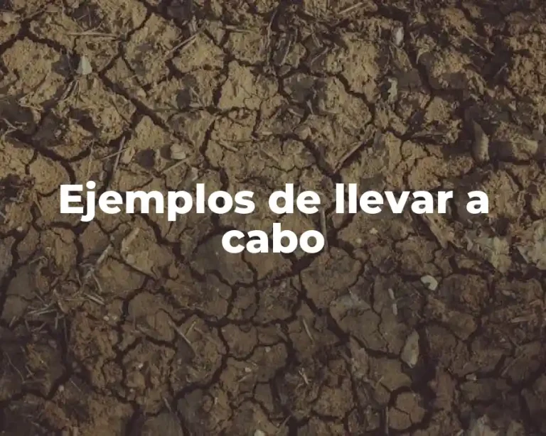 Ejemplos de llevar a cabo