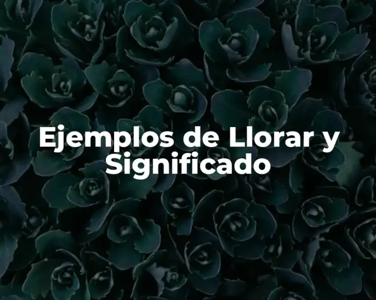 Ejemplos de Llorar y Significado