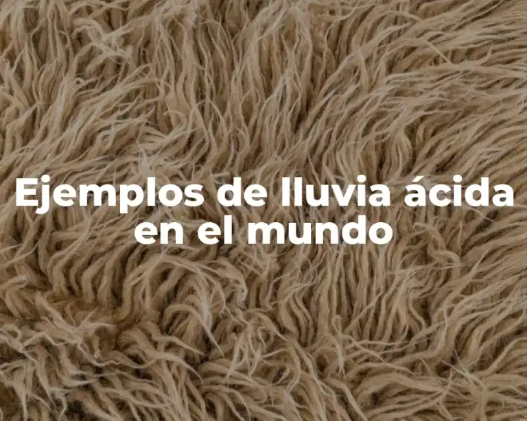 Ejemplos de lluvia ácida en el mundo