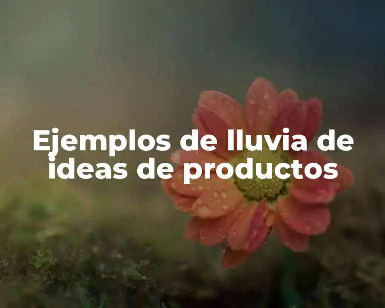 Ejemplos de lluvia de ideas de productos
