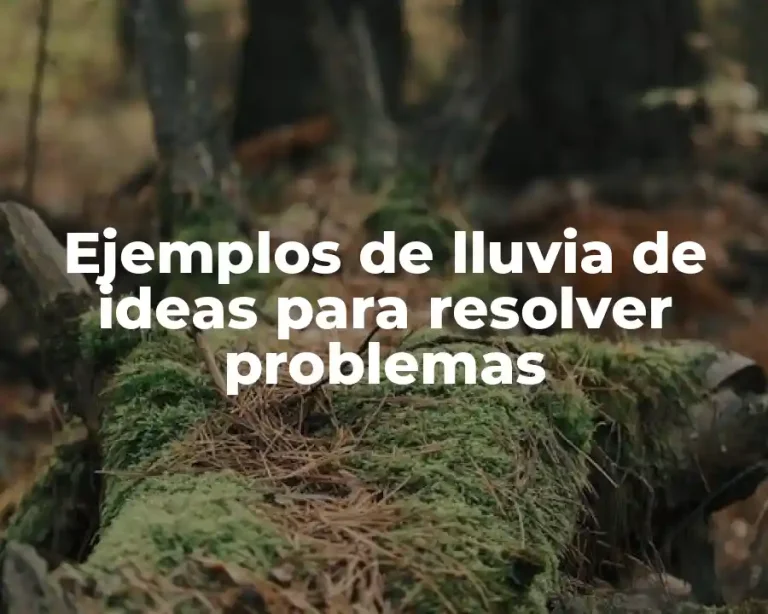 Ejemplos de lluvia de ideas para resolver problemas