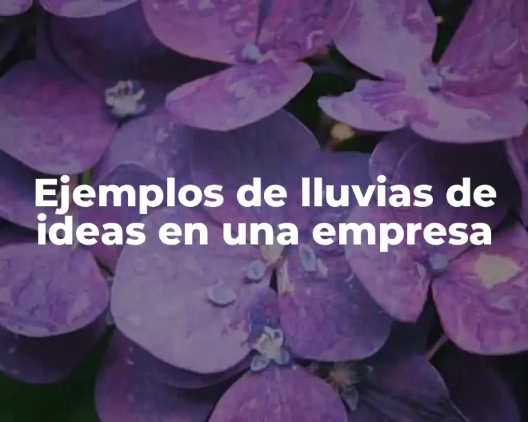 Ejemplos de lluvias de ideas en una empresa