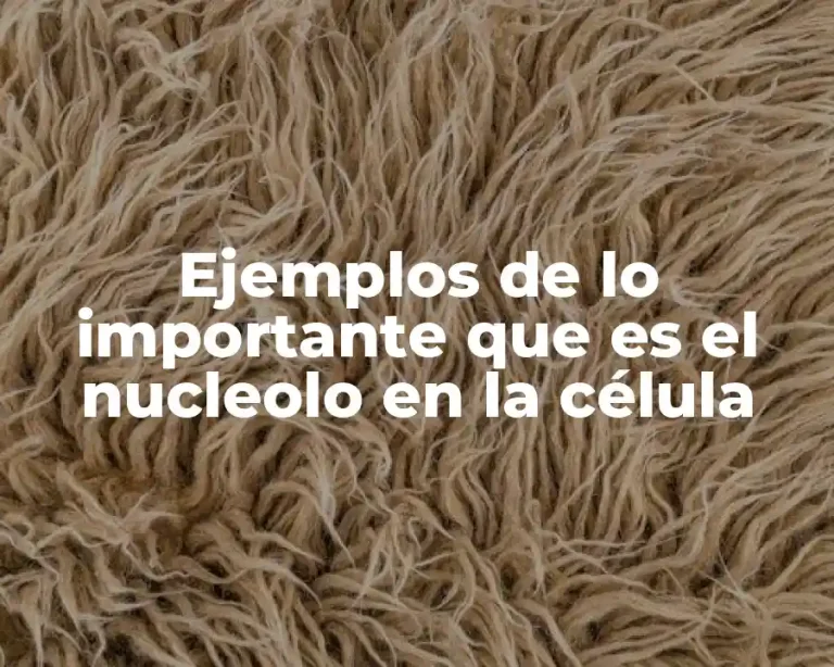 Ejemplos de lo importante que es el nucleolo en la célula