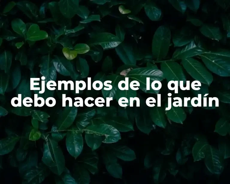 Ejemplos de lo que debo hacer en el jardín