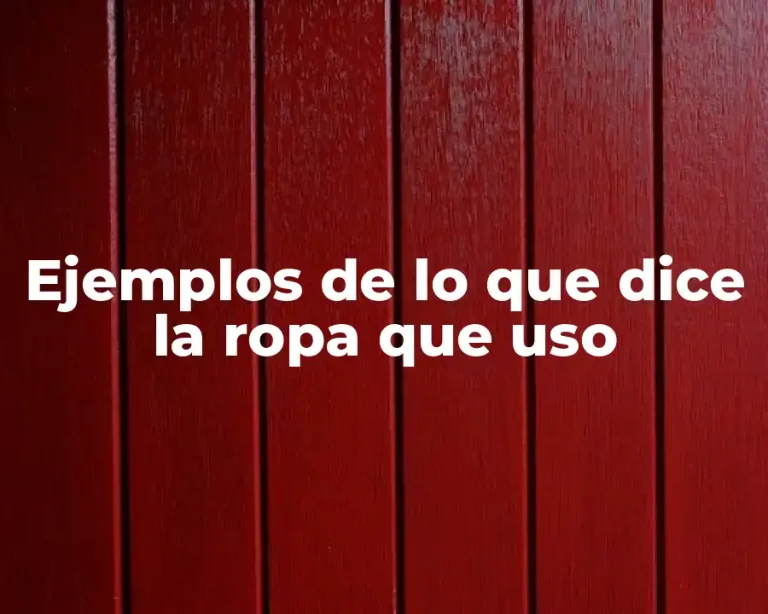 Ejemplos de lo que dice la ropa que uso