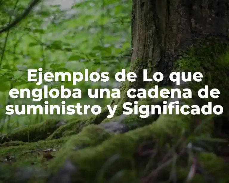 Ejemplos de Lo que engloba una cadena de suministro y Significado