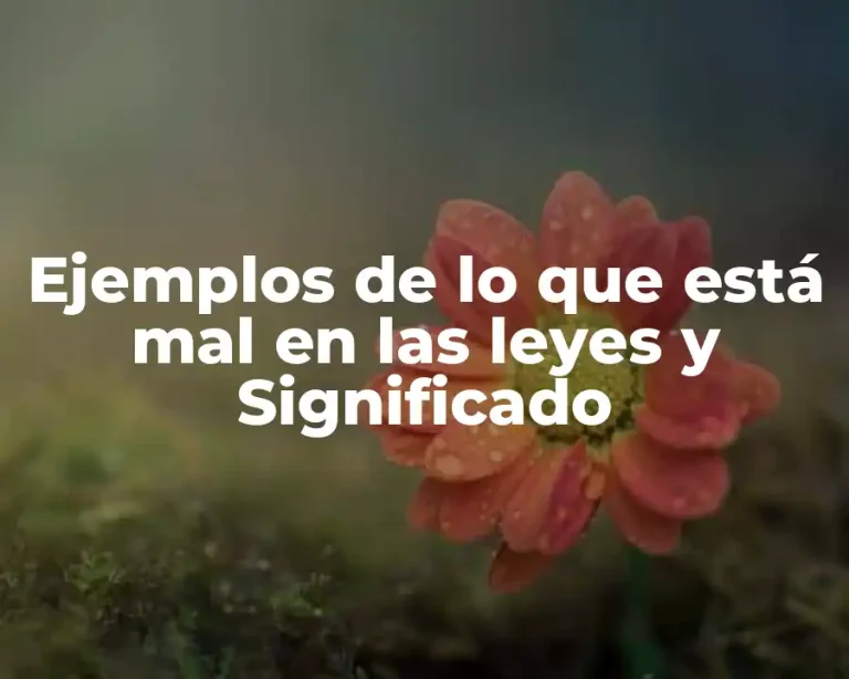Ejemplos de lo que está mal en las leyes y Significado