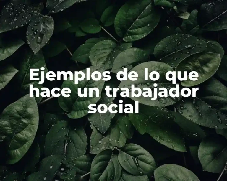 Ejemplos de lo que hace un trabajador social