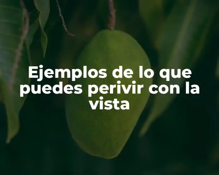 Ejemplos de lo que puedes perivir con la vista