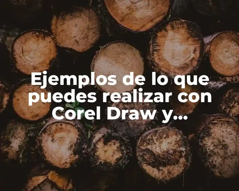 Ejemplos de lo que puedes realizar con Corel Draw y Significado