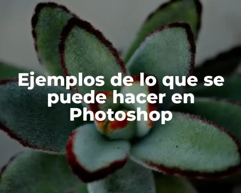 Ejemplos de lo que se puede hacer en Photoshop