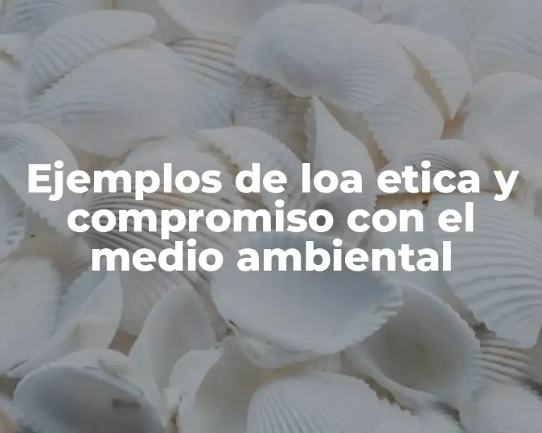 Ejemplos de loa etica y compromiso con el medio ambiental