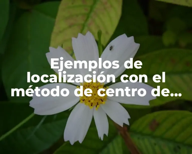 Ejemplos de localización con el método de centro de gravedad