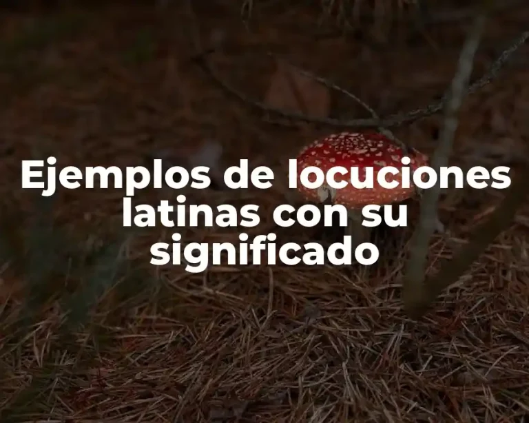 Ejemplos de locuciones latinas con su significado