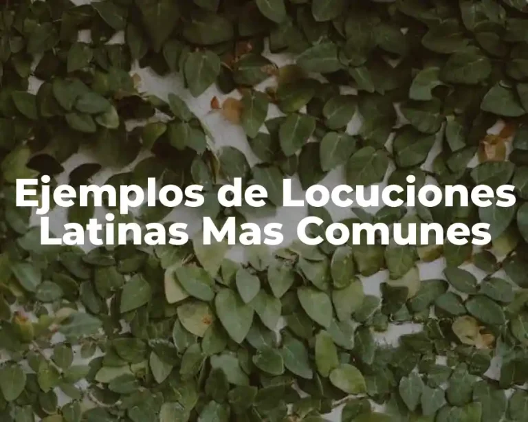 Ejemplos de Locuciones Latinas Mas Comunes