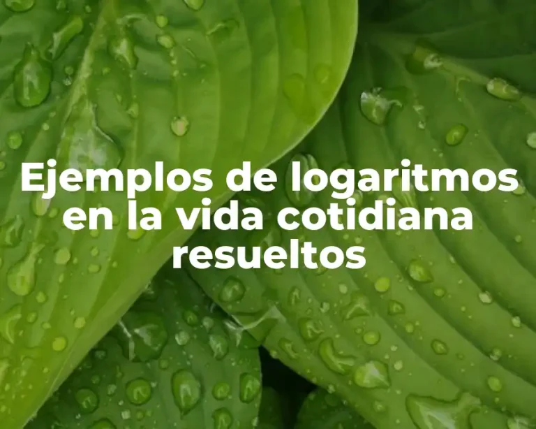 Ejemplos de logaritmos en la vida cotidiana resueltos