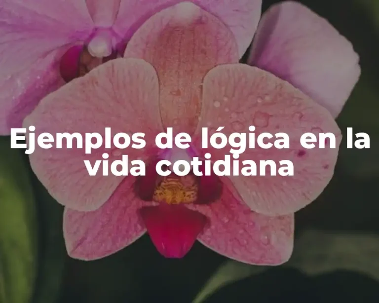 Ejemplos de lógica en la vida cotidiana