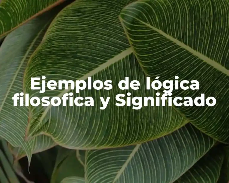 Ejemplos de lógica filosofica y Significado