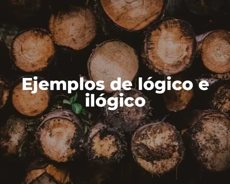 Ejemplos de lógico e ilógico