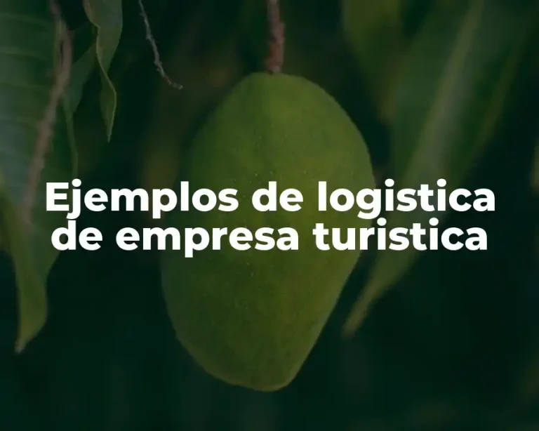 Ejemplos de logistica de empresa turistica
