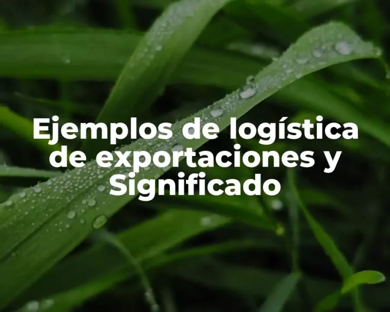 Ejemplos de logística de exportaciones y Significado