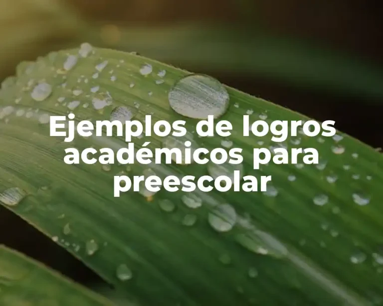 Ejemplos de logros académicos para preescolar