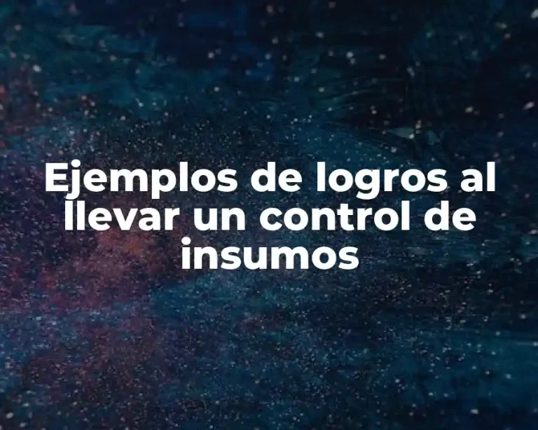 Ejemplos de logros al llevar un control de insumos