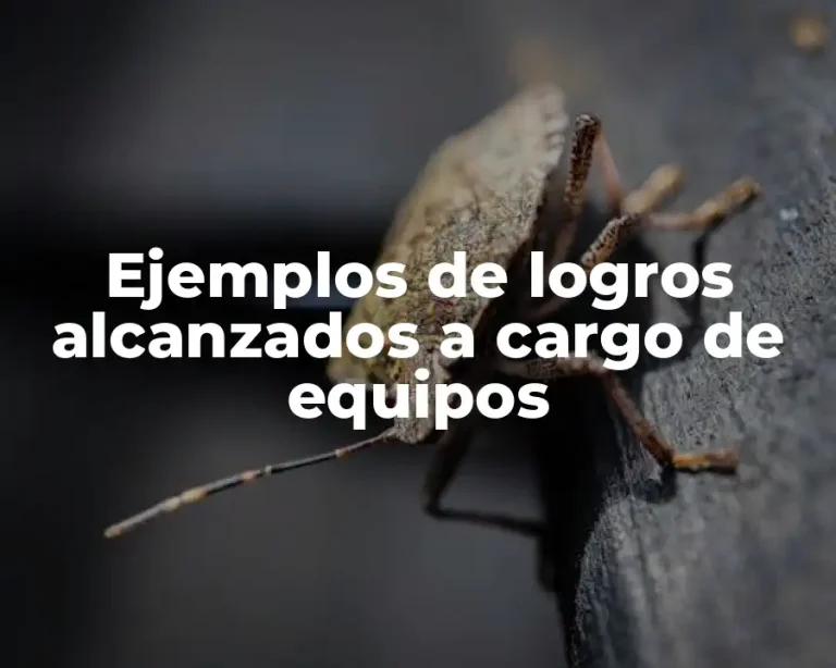 Ejemplos de logros alcanzados a cargo de equipos