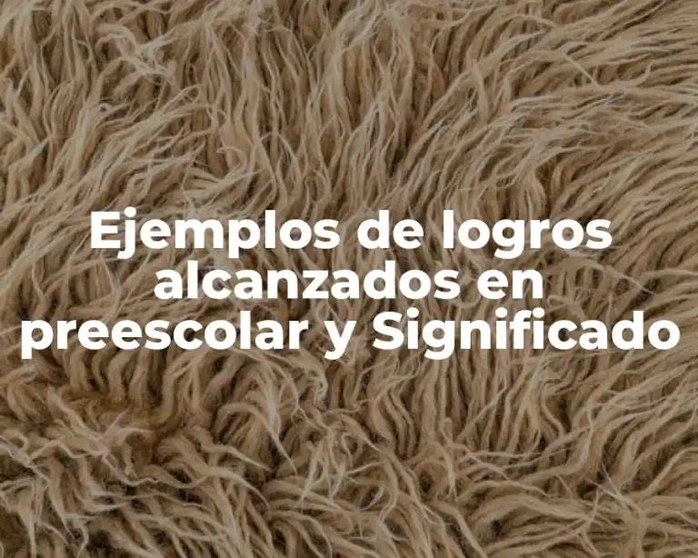 Ejemplos de logros alcanzados en preescolar y Significado