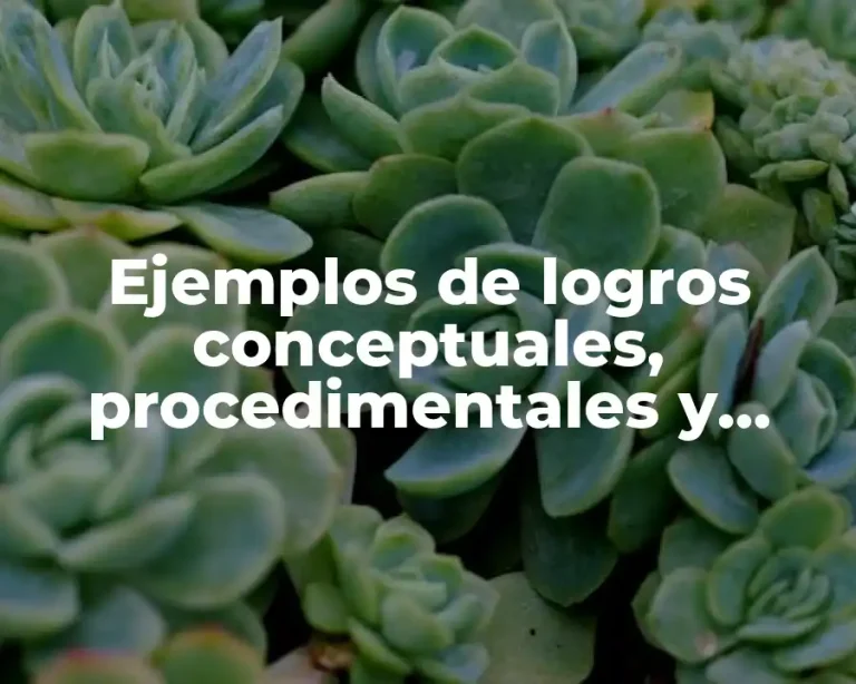 Ejemplos de logros conceptuales, procedimentales y actitudinales y Significado