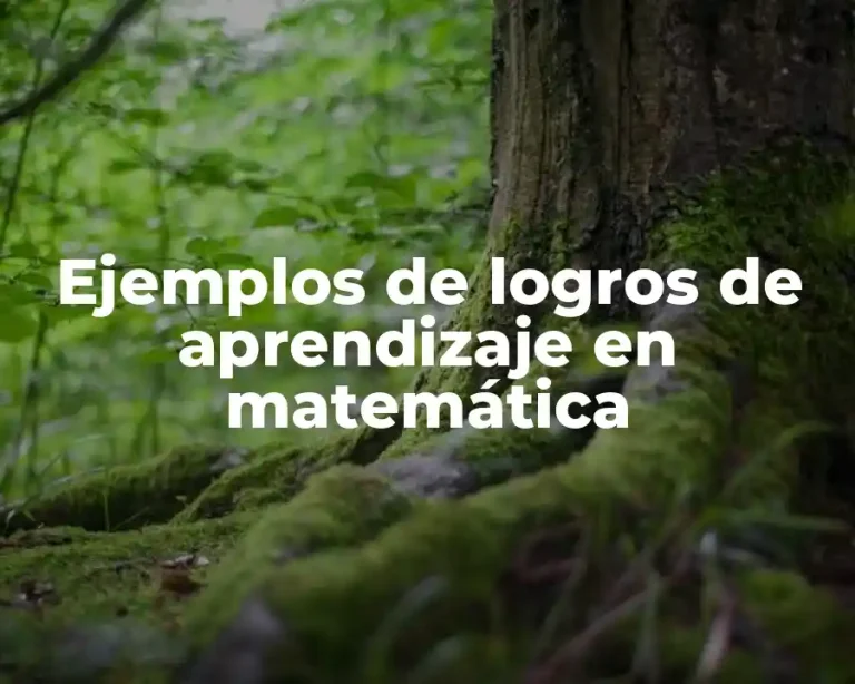 Ejemplos de logros de aprendizaje en matemática
