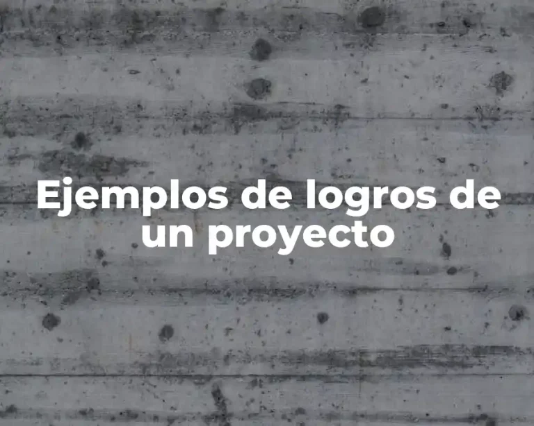 Ejemplos de logros de un proyecto