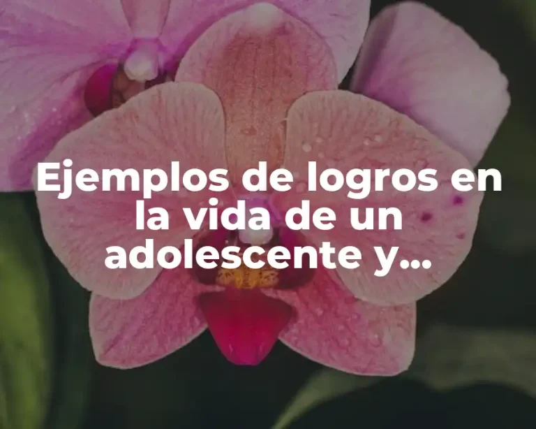 Ejemplos de logros en la vida de un adolescente y Significado
