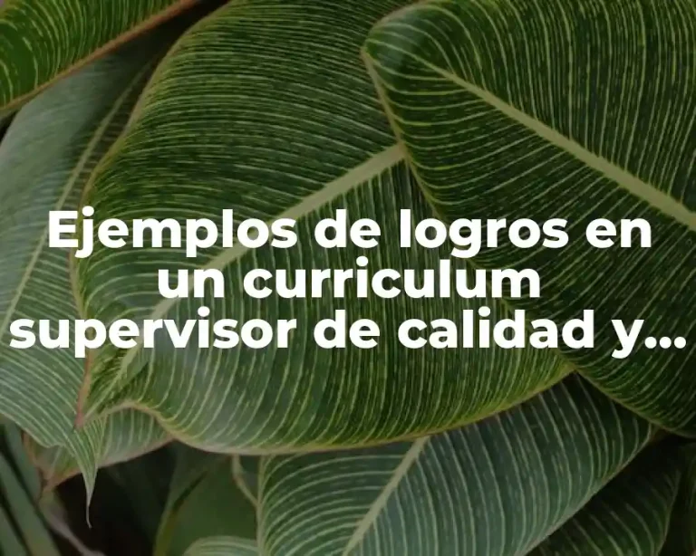 Ejemplos de logros en un curriculum supervisor de calidad y Significado