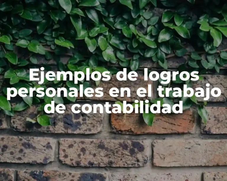 Ejemplos de logros personales en el trabajo de contabilidad