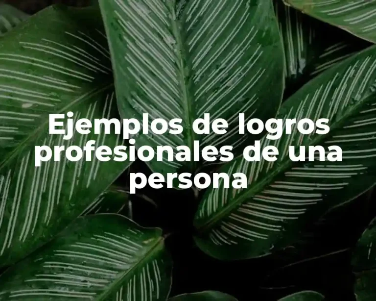 Ejemplos de logros profesionales de una persona