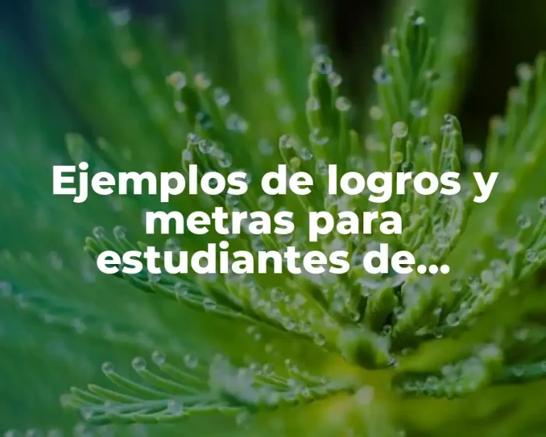 Ejemplos de logros y metras para estudiantes de universidad