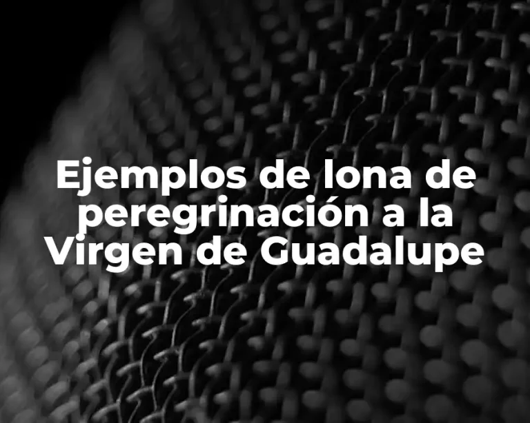 Ejemplos de lona de peregrinación a la Virgen de Guadalupe